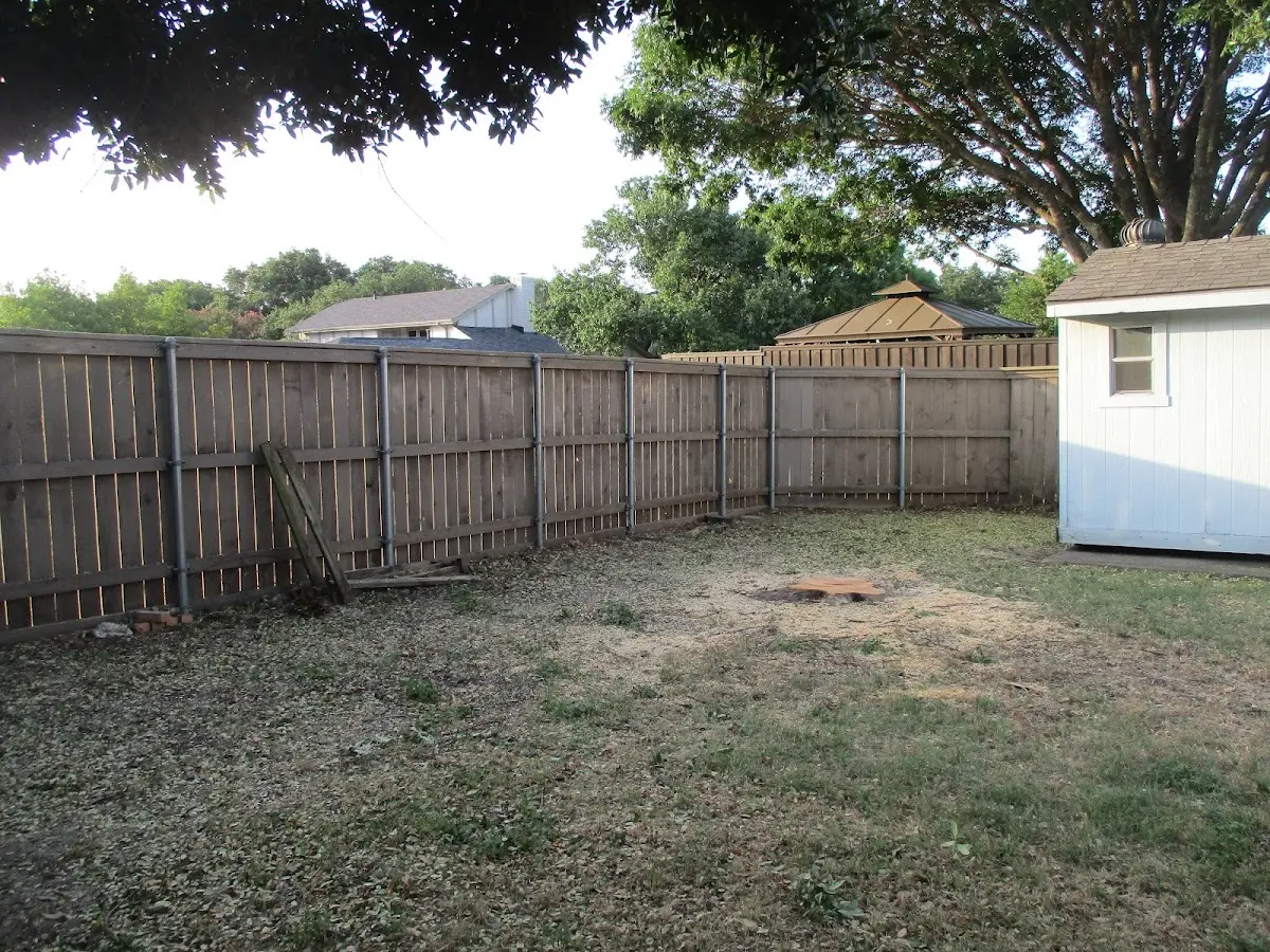 Cleared yard after professional tree removal in Moncure